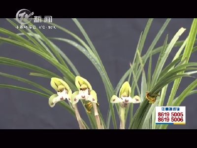 武进新闻