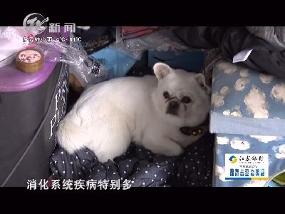 武进新闻