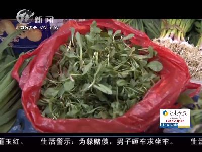武进新闻