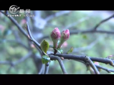武进新闻