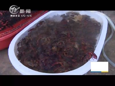 武进新闻