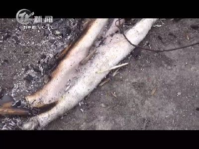 武进新闻