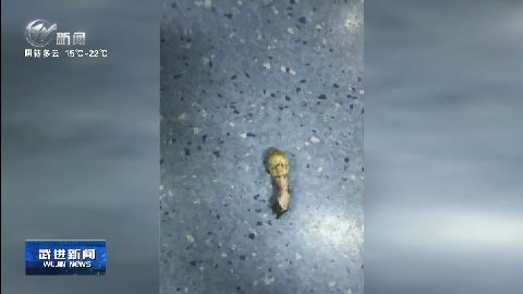 武进新闻