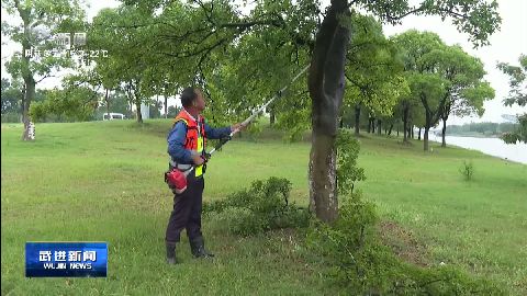 武进新闻
