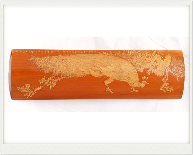 孔雀玉兰 徐秉言