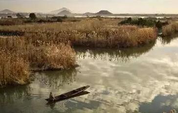 QQ截图20160412120141