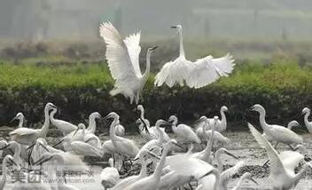 QQ截图20160412120148